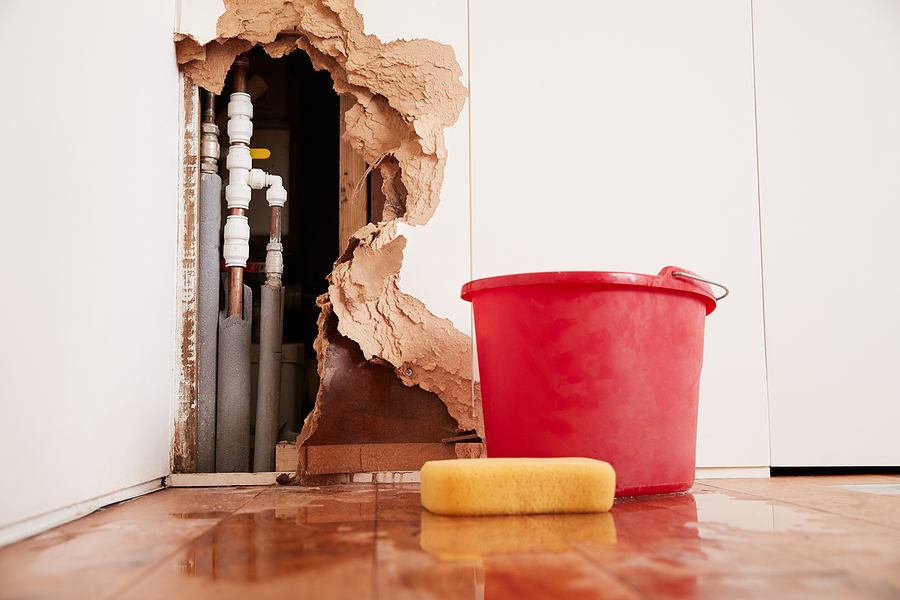 All You Need To Know About Water Line Leak Repairs